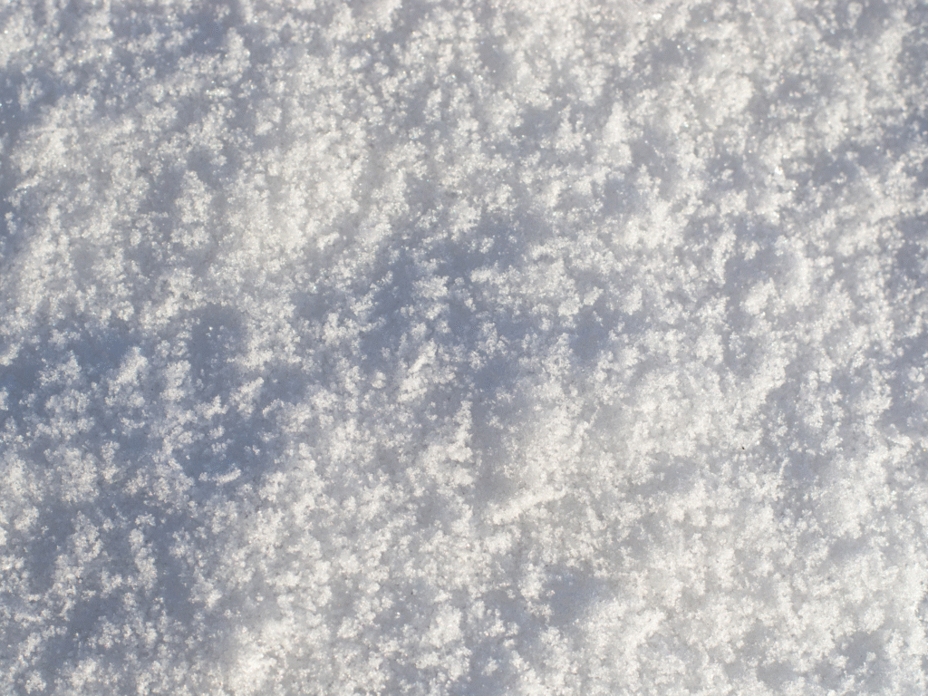 Heavy Wisconsin snowfall — Plow & Salter offers fast quotes on snow plows and de-icing equipment.